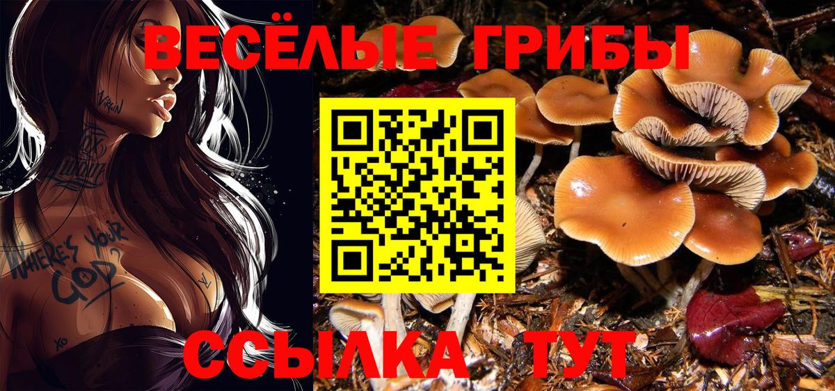 Псилоцибиновые грибы прущие грибы Тимашёвск