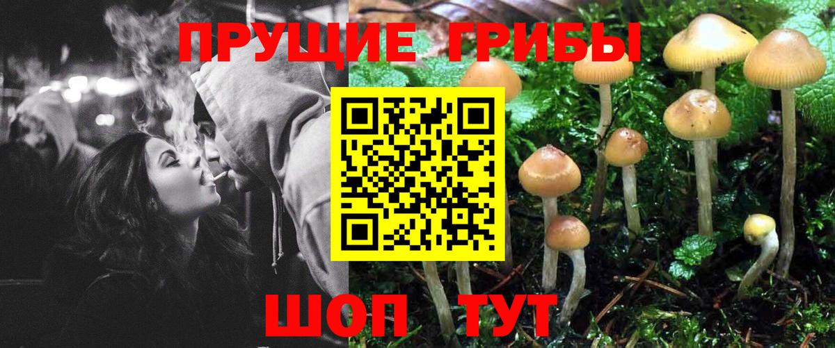 Галлюциногенные грибы MAGIC MUSHROOMS  Вход с VPN  купить   Тимашёвск 